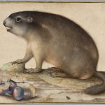 ‘Little Beasts’ Is a First-of-Its-Kind Museum Collaboration Reveling in Art and the Natural World